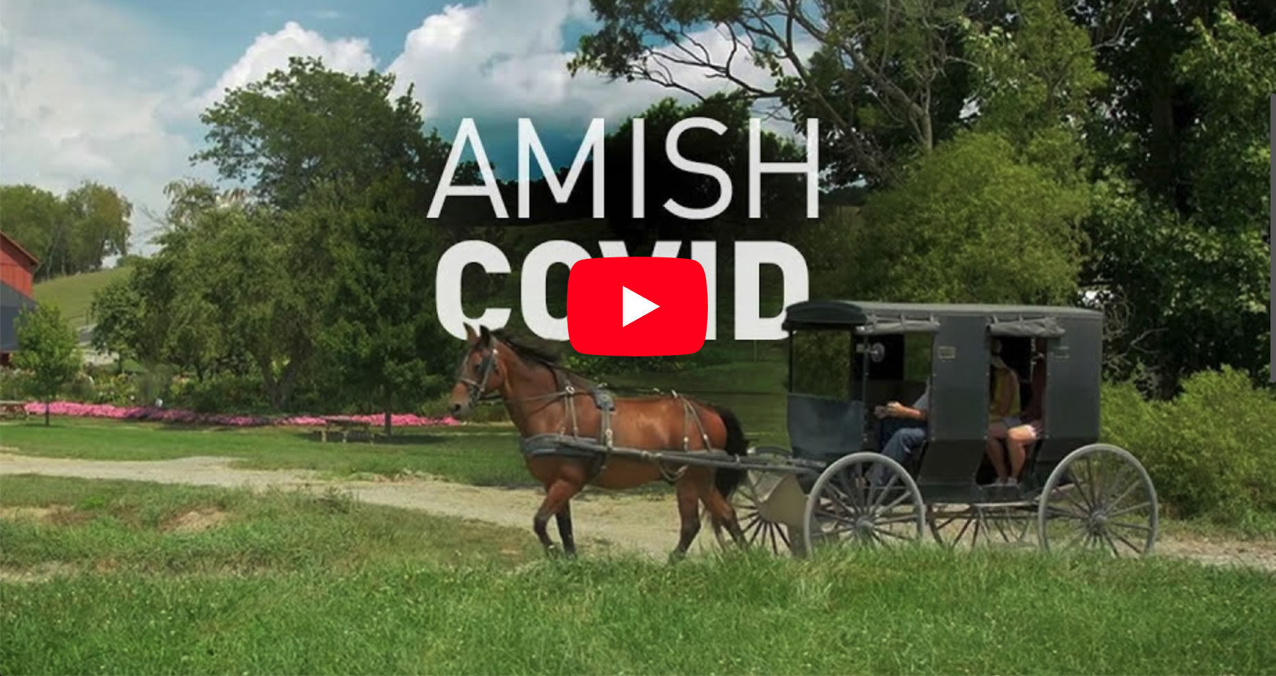 How The Amish Beat COVID Without Vaccines